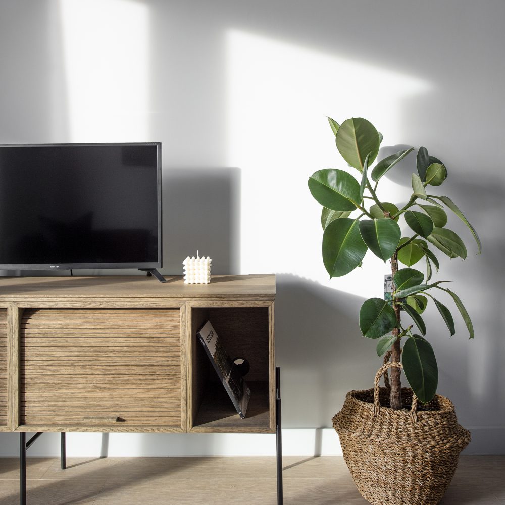 Houseplant and wooden tv stand.