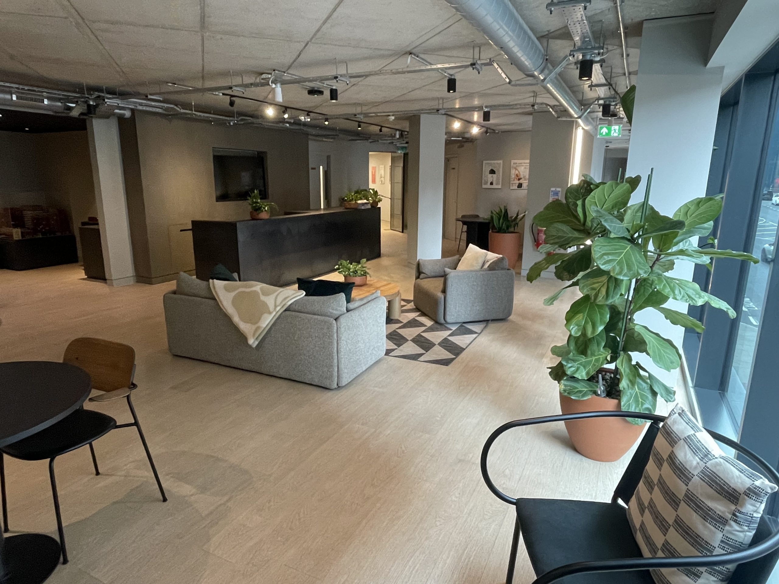 Modern, minimalist communal space, with industrial ceiling, well decorated with house plants.